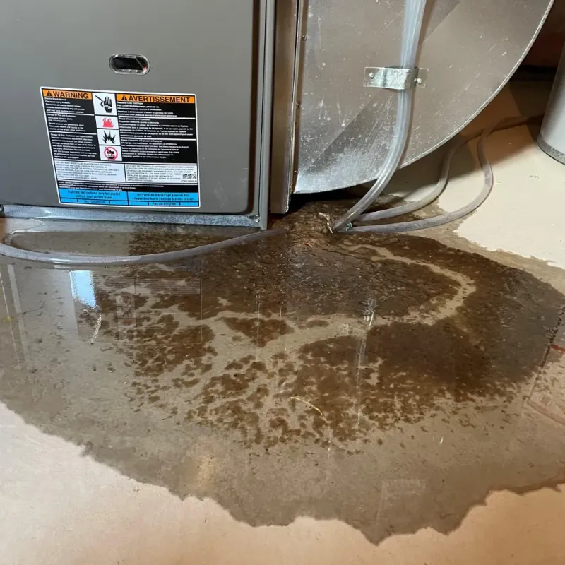 Appliance Leak Cleanup in Norris, TN